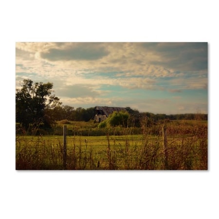 Jai Johnson 'Rusty Barn At Sunset' Canvas Art,12x19